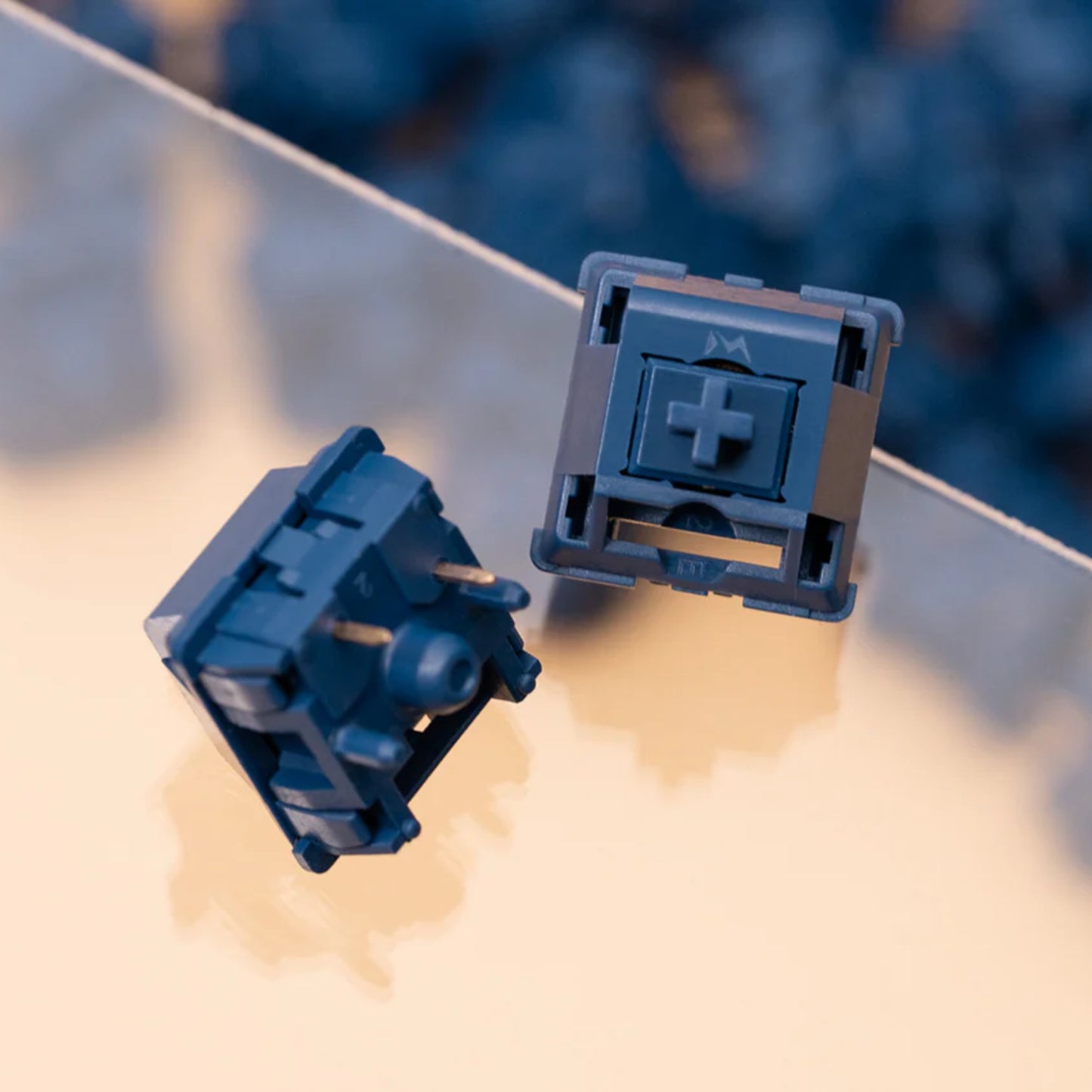 WS Light Tactile Switch