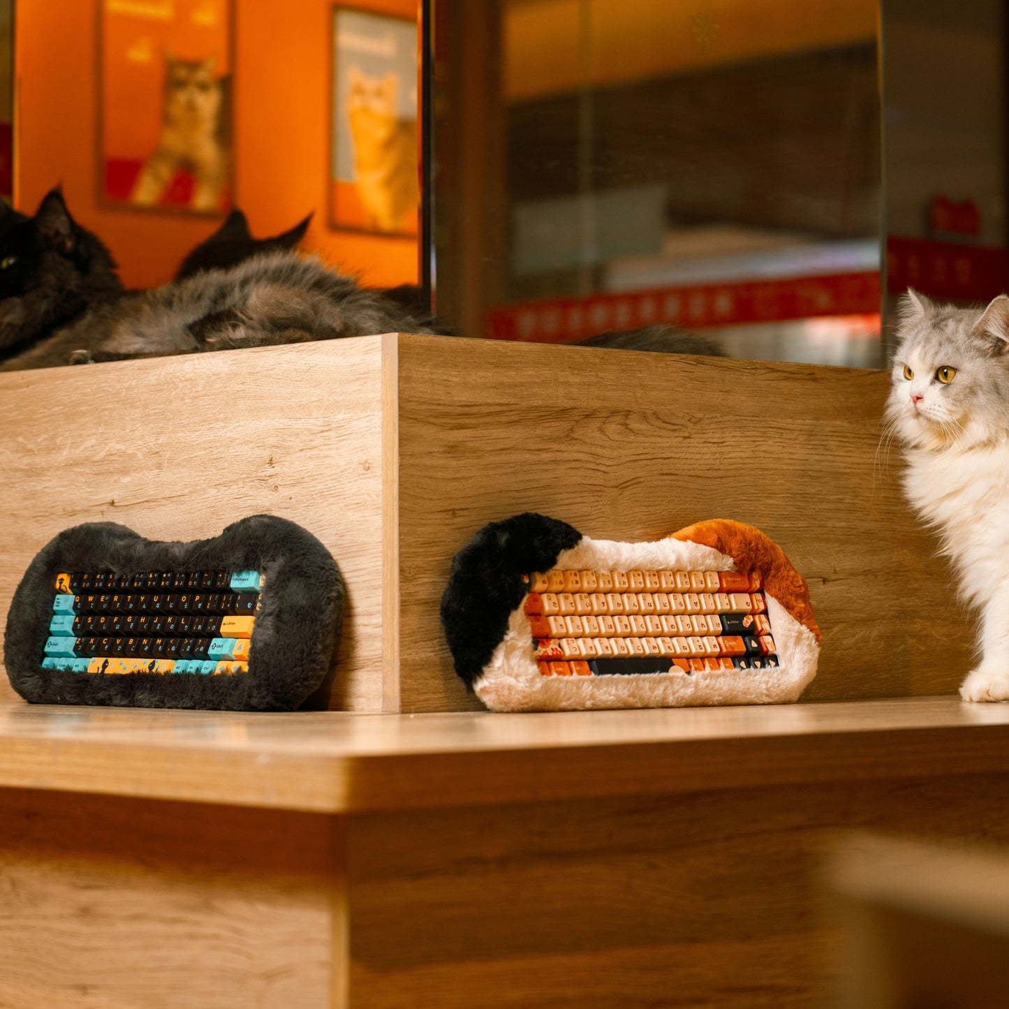 Angry Miao Dry Studio PETBRICK 65