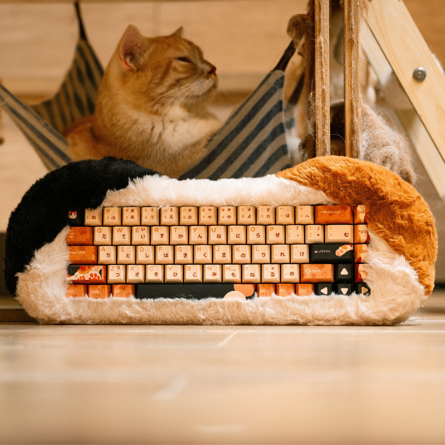Angry Miao Dry Studio PETBRICK 65