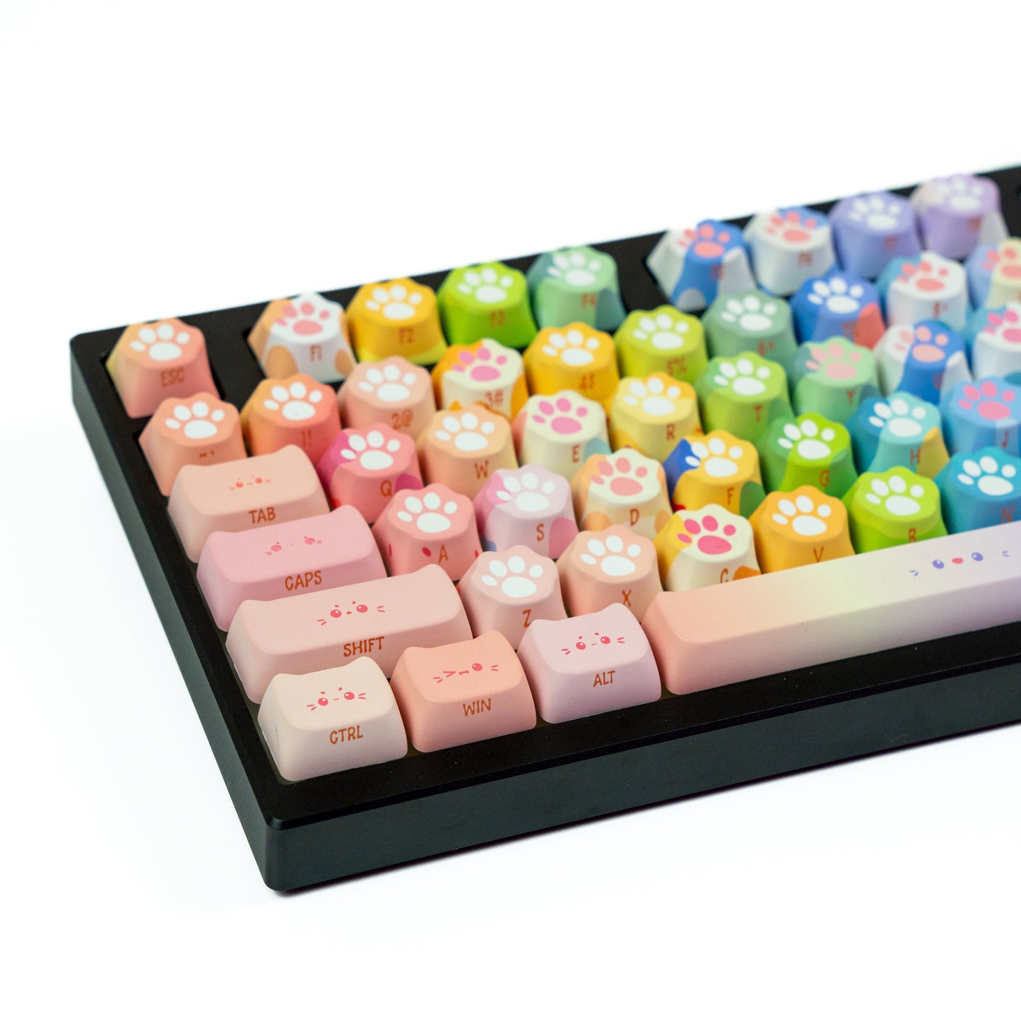 Akko Kitty Paws MOA Profile Keycaps