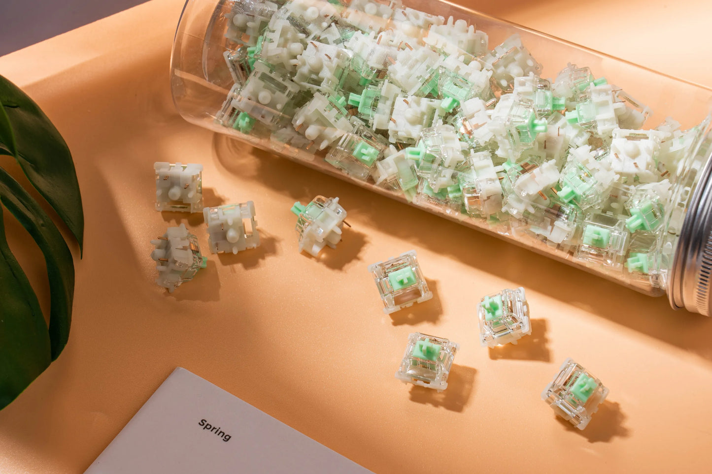 GATERON Baby Kangaroo 2.0 Tactile Switch