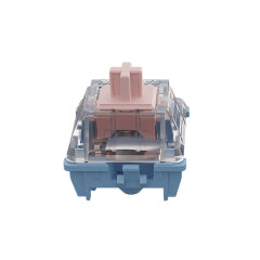 GATERON Melodic Clicky Switch