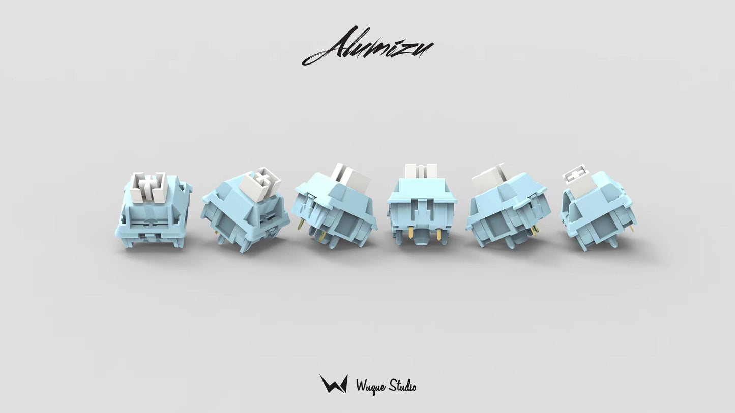 WS Aurora x Mizu AE