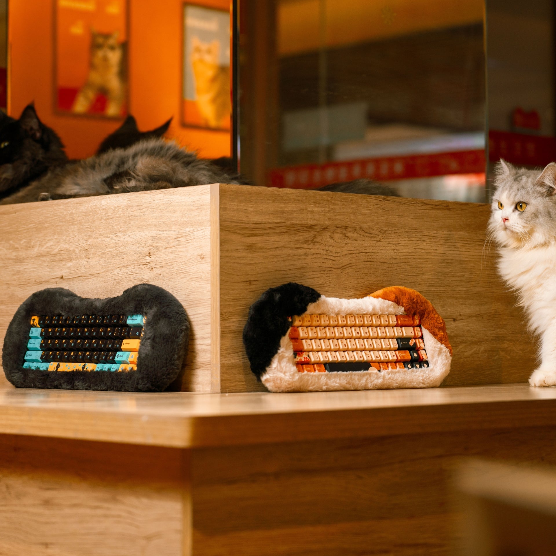 Angry Miao Dry Studio PETBRICK 65