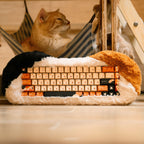 Angry Miao Dry Studio PETBRICK 65