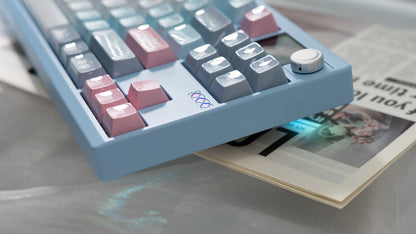 Wuque Studios Zoom TKL DYNA - Barebones