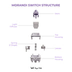 Wuque Studios Morandi Linear Switch
