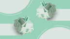 Akko Botany Linear Switch