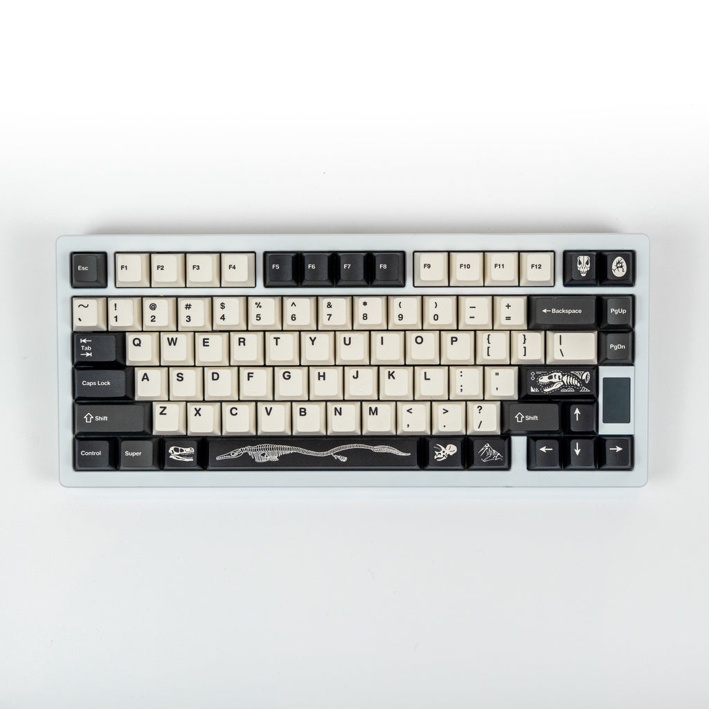 FBB Fossils Cherry Profile Keycaps