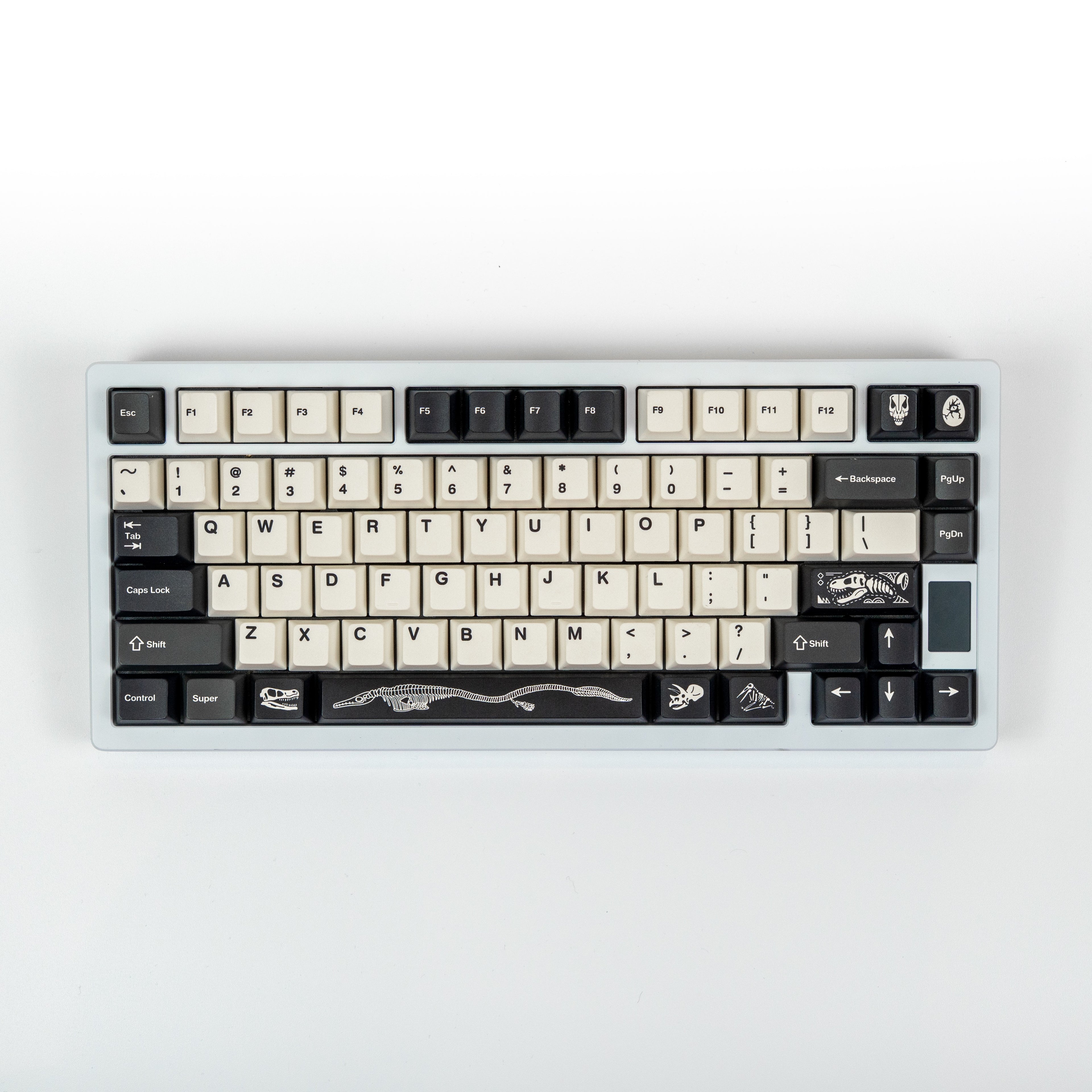 FBB Fossils Cherry Profile Keycaps