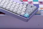 Paper 65% Rogue Violet